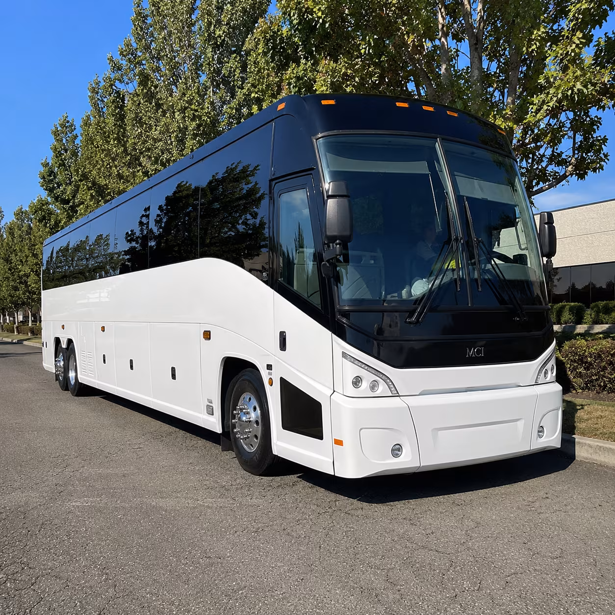 arrange transportation for your next birthday 3
